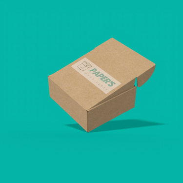 Caixa kraft para transporte e armazenamento Papers Embalagens